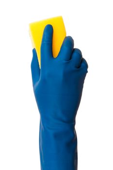 Hand in glove holding sponge, back view, isolated on white background.