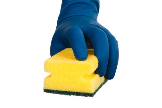 Hand in glove holding sponge, front view, isolated on white background.