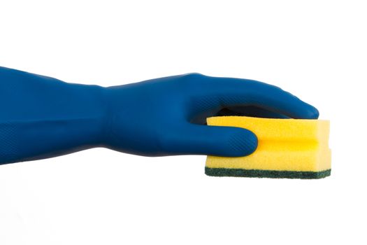 Hand in glove holding sponge, isolated on white background.