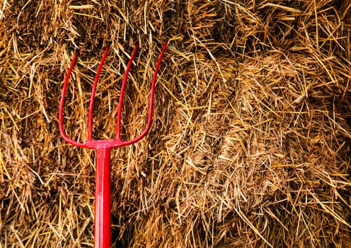 Pitchfork sit in a pile of Straw   stacked awaiting the workers.