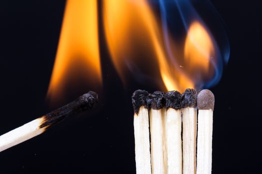 Ideas and inspiration concept, burning match with flame setting fire to others on dark background.