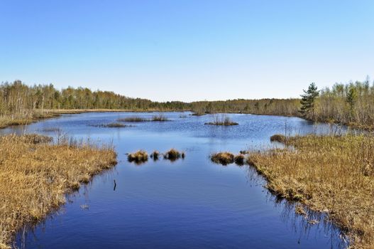 Spring landscape with peat lake among morass