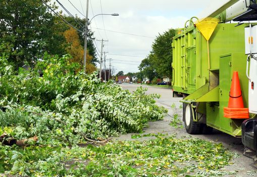Wood chipper truck in the street with cut down tree branches: landscape contractor