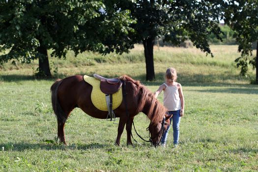 pony horse and little girl 
