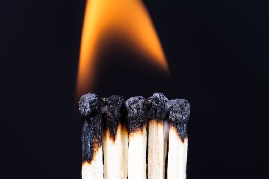 Teamwork concept, burning matches with flame on dark background.