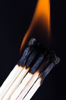 Teamwork concept, burning matches with flame on dark background.