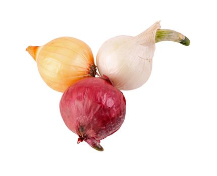 Single small bulbs of red, white and yellow onions (Allium cepa) ready to be planted as sets or used for cooking isolated on white