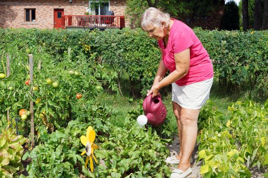 Active senior woman watering the plants in her garden