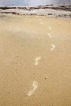 Footprints leading to the beach