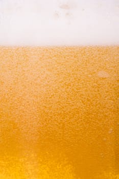 Close up, macro view of droplets, beer bubbles.