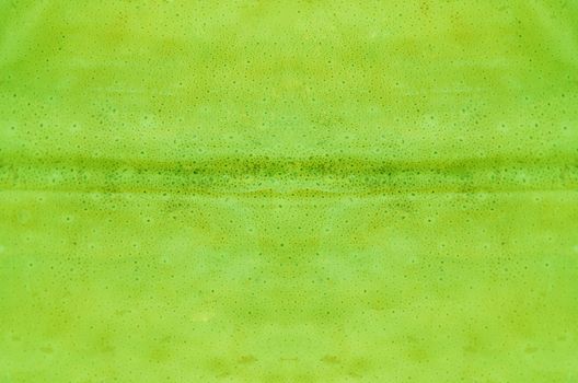 green color cuttlefish skin texture ,  ( squid skin for background )
