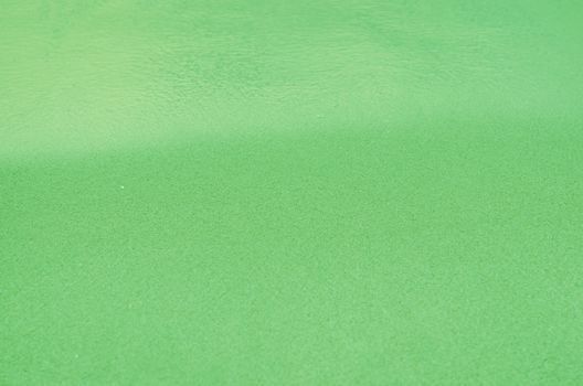 Green Sandy beach background. Detailed sand texture and water . Top view