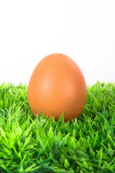 Single egg on grass, isolated on white background.