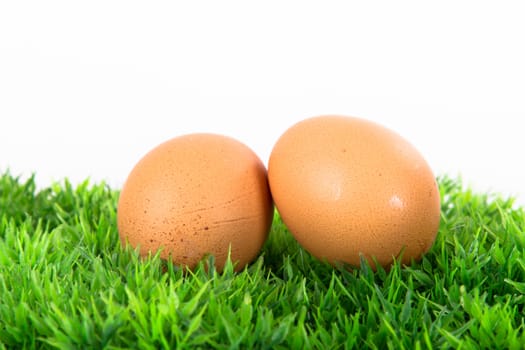 Pair of eggs on  grass, isolated on white background.