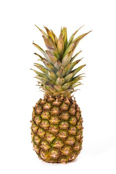 Green pineapple standing on isolated white background.