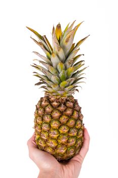 Human male hand holding pineapple, ananas, isolated on white background.