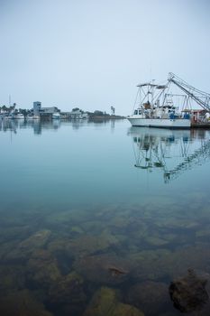 Many boats tied up at the dock within the harbor. Marine life is overcast with a foggy sky.