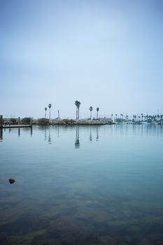 A beautiful reflection of palm trees and boats across the harbor. Rocks submerged under a wonderful aqua blue green sea water.