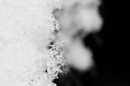 beauty white snowflake crystals on dark background