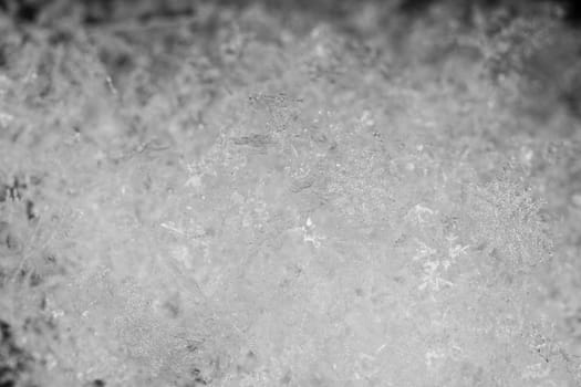 beauty white snowflake crystals on dark background