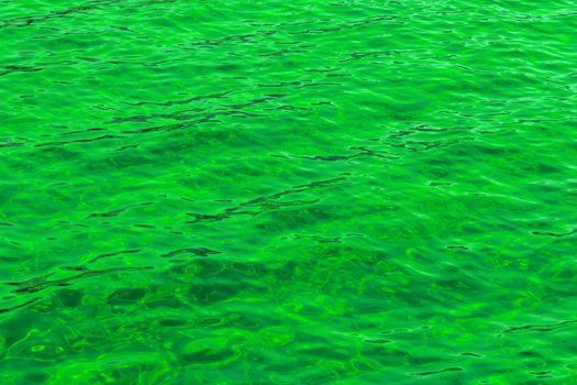 poison green abstract background of wavy water surface