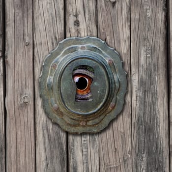 a spy animal eye and a lock