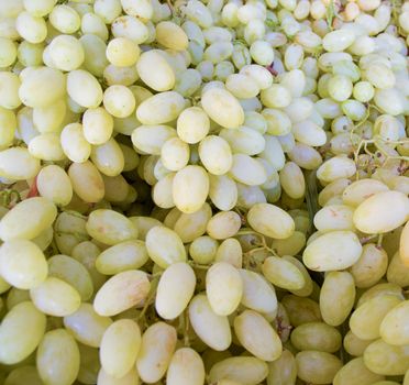 Fresh natural grapes to background .