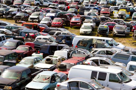 The scene shows many cars and other automobiles in a salvage junk yard where customers can pick and choose part for their vehicle repairs.