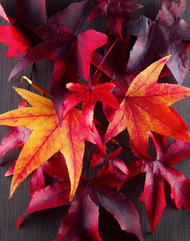 Autumn leaves of different colors over a dark wooden background