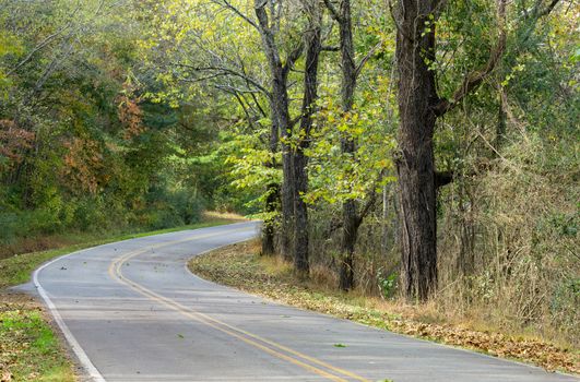 This image shows a road through the woods in the Chatuge Refuge in North Carolina.