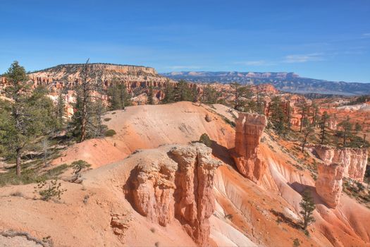 This is one of the scenes along the Queen's Garden Trail at Bryce National Park.