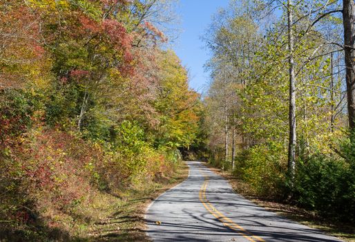 This is a road through the colorful Tusquitee area of North Carolina in the Fall.