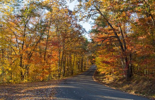 This image was taken on a late afternoon Fall day on the Little River Canyon Parkway, Alabama