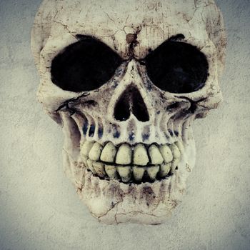 a macabre human skull on a textured background