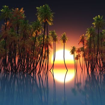 palms in ocean and sunset