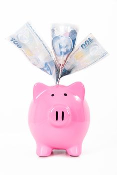 One hundred Turkish lira banknotes in pink piggy bank, isolated on white background.