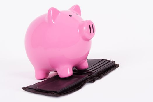Hungry pink piggy bank waiting for money on dark wallet, isolated on white background.