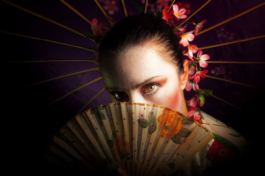 portrait of a Geisha