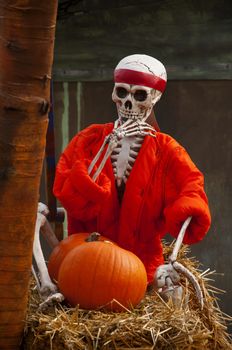 skeleton with pumpkin