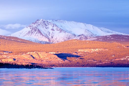 Warm evening light on snow-covered Mount Laurier on the eastern shore of frozen Lake Laberge  Yukon Territory  Canada