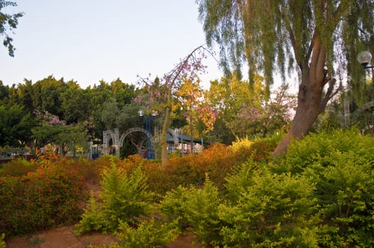 Summer park with colorful plants. Israel. Holon.