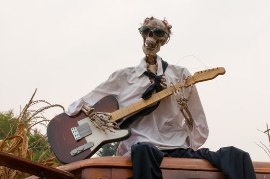 Funny skull playing guitar