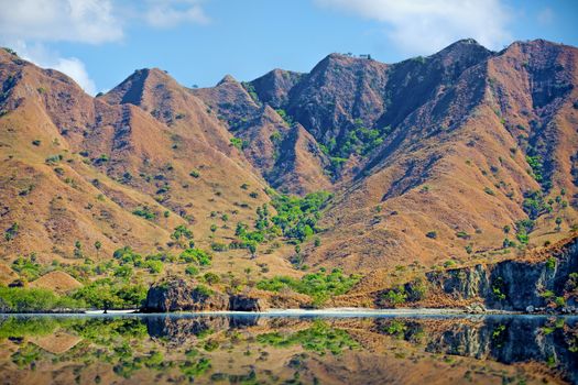 The beautiful nature of Komodo national park