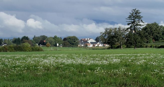 Geneva countryside by cloudy morning with houses and flowers, Switzerland