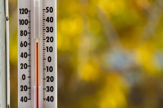 Thermometer against fall foilage that is heavily out of focus