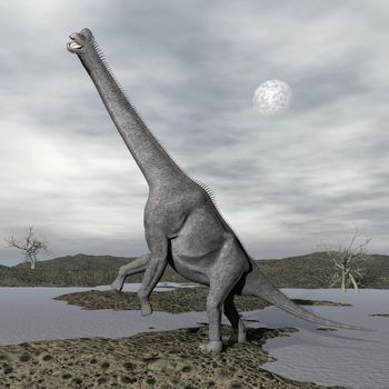 One brachiosaurus dinosaurs in nature by grey cloudy night with full moon
