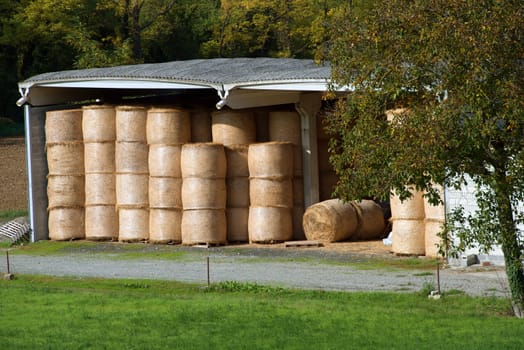 Bales of hay stored under cover to protect them from the rain
