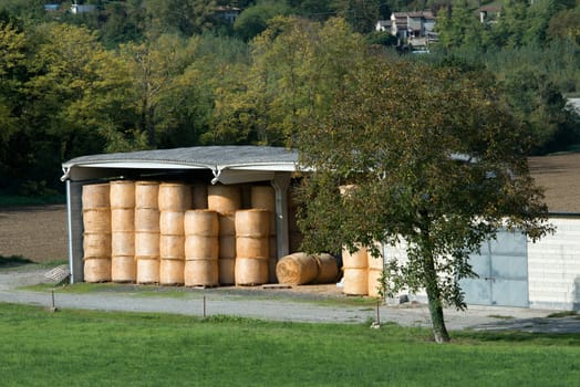 Bales of hay stored under cover to protect them from the rain