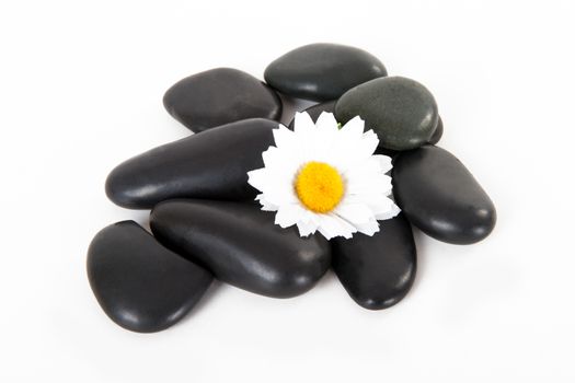 Black massage stones with flower, isolated on white background.