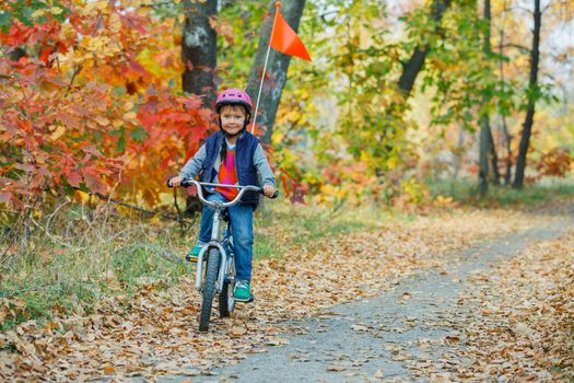 Cute little boy on bicycle in the autumn park.